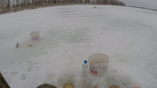 Ловил на колбасу. Клевало ЗДОРОВО! смотреть онлайн