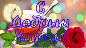 С ДОБРЫМ УТРОМ! ШИКАРНОЕ ПОЖЕЛАНИЕ ДОБРОГО УТРА С НЕВЕРОЯТНО КРАСИВОЙ МУЗЫКОЙ СЕРГЕЯ ЧЕКАЛИНА