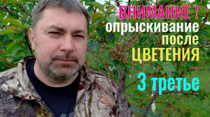Опрыскивание После ЦВЕТЕНИЯ. Это ВАЖНО! Не Упустите! "Секреты садовода"