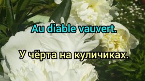 Устойчивые выражения французского языка. Французский для начинающих.