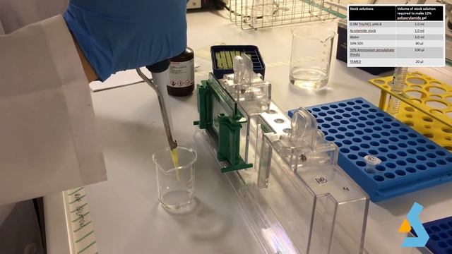 11 - SDS-PAGE смотреть онлайн