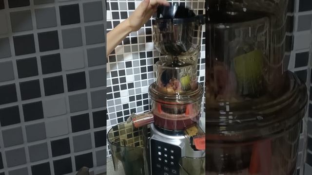 Шнековая соковыжималка Rawmid Vitamun RVJ02