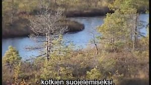 Эстония. Часть 3 / Estonia. Part 3