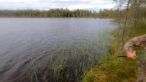 Рыбалка  на хариусной речке в Архангельской области. Удачный выезд.