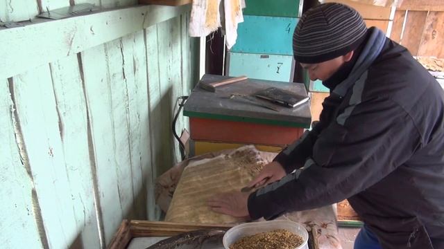 Прополис.Propolis propoli propóleos zasklep própolisプロポリス смотреть онлайн