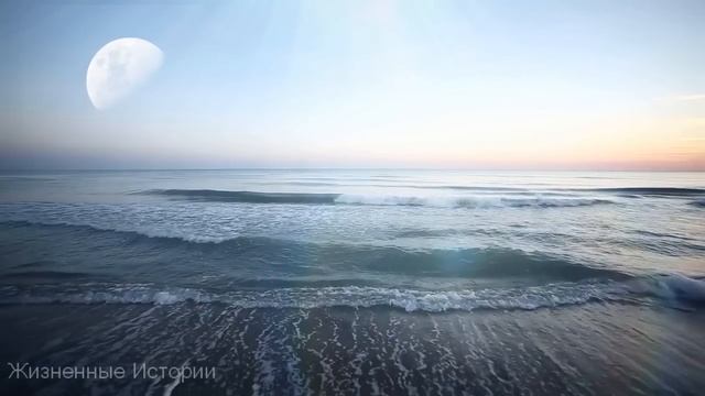 Парень поиздевался над девушкой и бросил ее беременную ради достижений в науке и вот однажды... смотреть онлайн