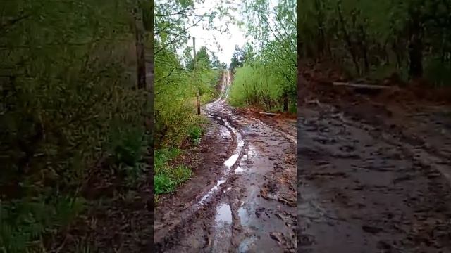 Платная рыбалка !Щукарь смотреть онлайн