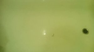 Блесна КТ- 45. Поиск правильной анимации.