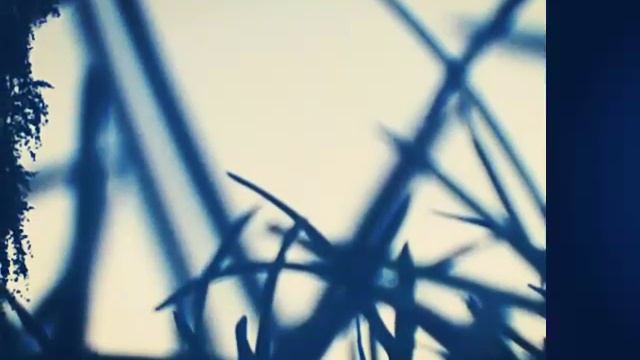 Решила посмотреть фотографии Когда ьолеешь выдео трудно снять решила сдедать это