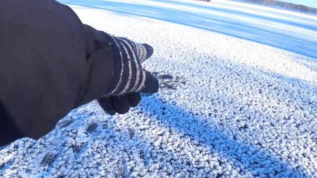 НЕ КЛЕВАЛО, ПОКА НЕ РАЗБУРИЛ ЭТО ДЕРЕВО!!! РЫБАЛКА ПО ПЕРВОМУ ЛЬДУ!!! смотреть онлайн