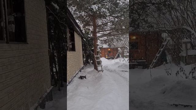 Медитация. Избавление от последствий испуга смотреть онлайн