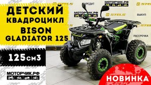 Квадроцикл Bison Gladiator 125