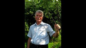 Бургмюллер.  Пробуждение в лесу.