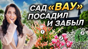 💥15 САМЫХ необычных кустарников. 97% садоводов о них не знает!