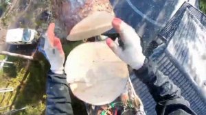 Арбористика. Спил дерева частями.  Валка сложных деревьев частями.