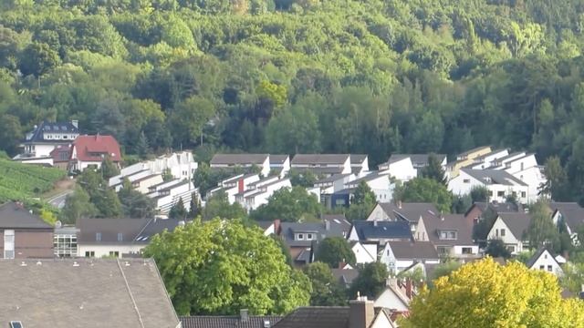 Videotest Canon PowerShot SX50 HS смотреть онлайн