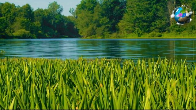 ?? ?? Россия. Черное озеро, Башкортостан. смотреть онлайн