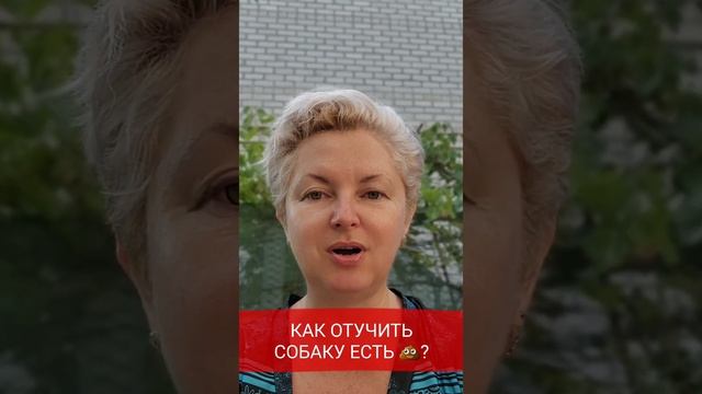 ??? Как отучить собаку есть экскременты?