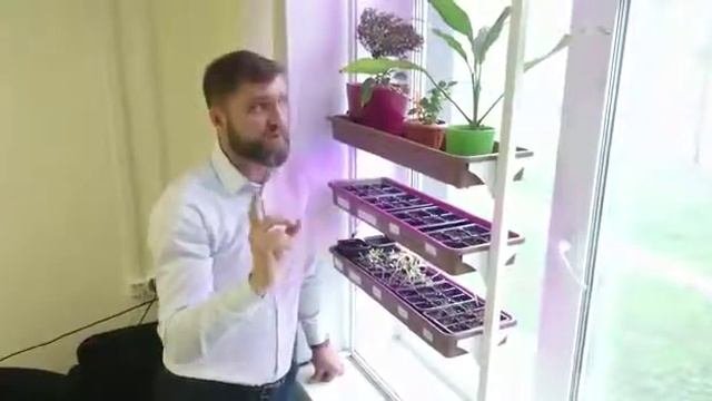 Фито-ферма для выращивания зелени и цветов на подоконнике