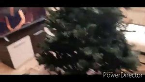 #ярмаркапривозванапе РЫНОК ПРИВОЗ -НАРОД ЗАКУПАЕТСЯ/МОЯ ЕЛОЧКА 2020