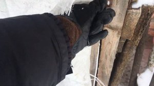 кролики не пьют