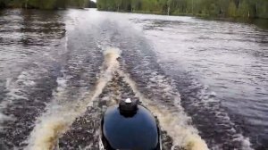 Flinc 320 KL (Флинк) + Mercury 5 л.с. 2-такта (он же Tohatsu M 5 B, он же Nissan Marine NS 5 B)