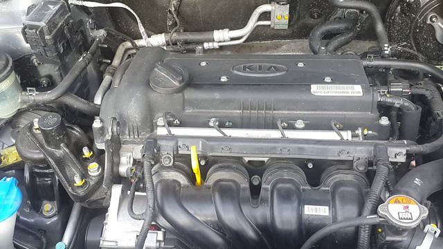 WAGNER . ЧАСТЬ 1 Замена масла в двигателе КИА РИО 2015 года 1.6л. Пробег 3 тысячи км смотреть онлайн