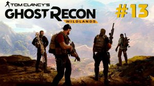 Tom Clancy's Ghost Recon: Wildlands #13