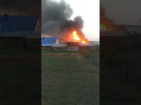 Пожар в Мошково. Жара в Сибири 40 градусов. Никогда такого не было