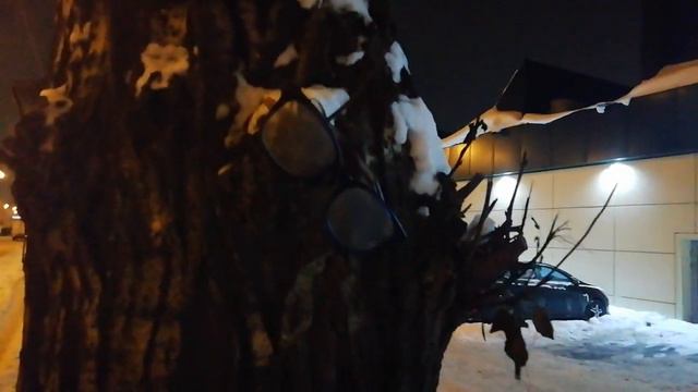 И у деревьев есть глаза... 😲😏 смотреть онлайн