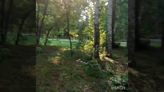 #томск #лагерныйсад #природа #цветочныймикс Лагерный сад. Прогулка на природе.
