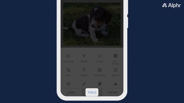 How to Invert Colors on Snapseed смотреть онлайн