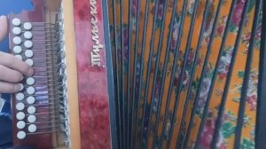 Разбор на гармони:"Виновата ли я"