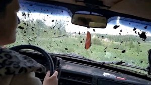 В грязь!!! Покатушки на нивах 2020