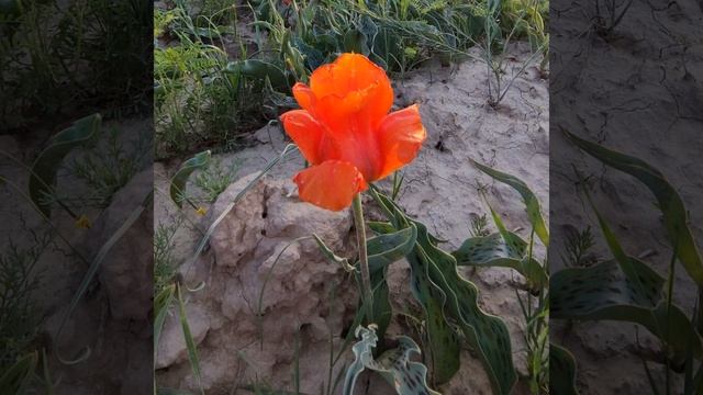 Выходной смотреть онлайн