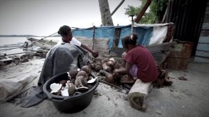 Подводные съёмки, Raja Ampat, Индонезия