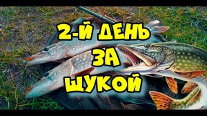 2-й день, где искать щуку.