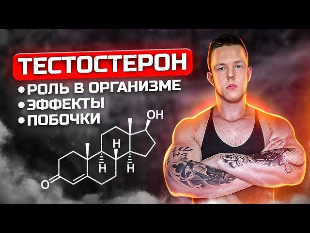 №1 ТЕСТОСТЕРОН | ЭФФЕКТЫ, ПОБОЧКИ, РОЛЬ В ОРГАНИЗМЕ