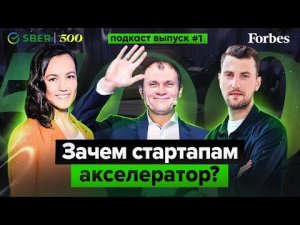 Инструкция для единорогов №1 | Зачем стартапам акселератор?