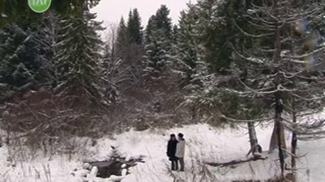 Необычная идея по обустройству родника у д. Липовая смотреть онлайн