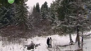 Необычная идея по обустройству родника у д. Липовая