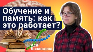 Обучение и память: как это работает? - Ася Казанцева | Стань ученым!