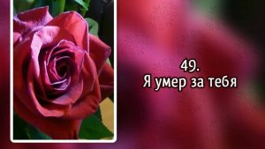 Гимны надежды 49 Я умер за тебя (-)