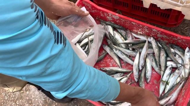 Local Market in souk Kenitra,Morocco with prices | student life in Morocco смотреть онлайн