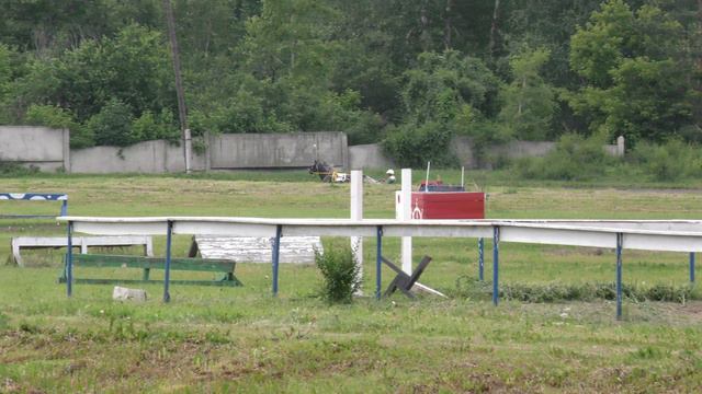 3.07.2021г.Красноярск Приз Пиона Орловской рыс. породы старшего возр.1600м