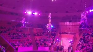 Шикарное выступление воздушных гимнастов
