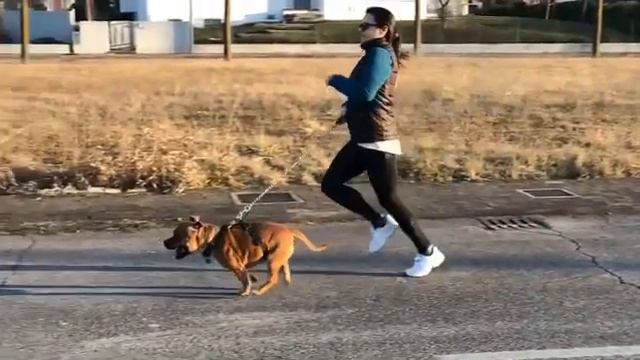 Пробежка с Тайсоном смотреть онлайн