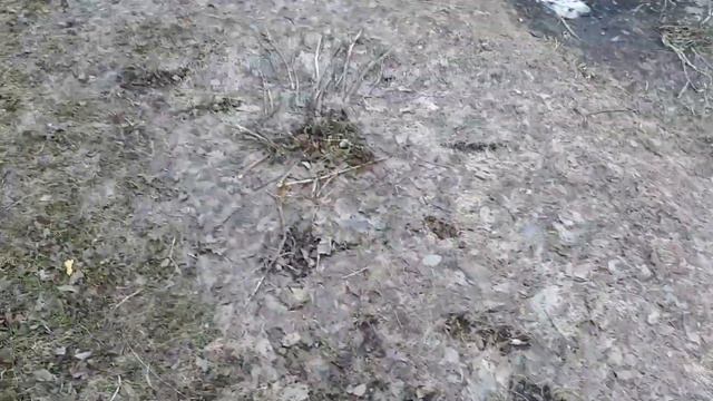 Чистый четверг. ПАСХА 2020Г смотреть онлайн