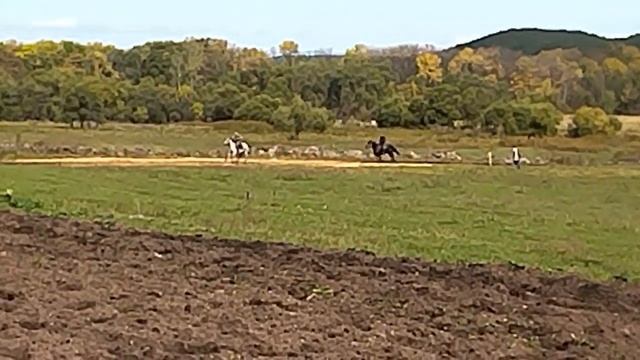 Скачки лошадей. ВКС, Старая Гордеевка. смотреть онлайн