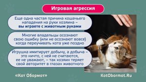 Способны ли кошки на месть и обиду?